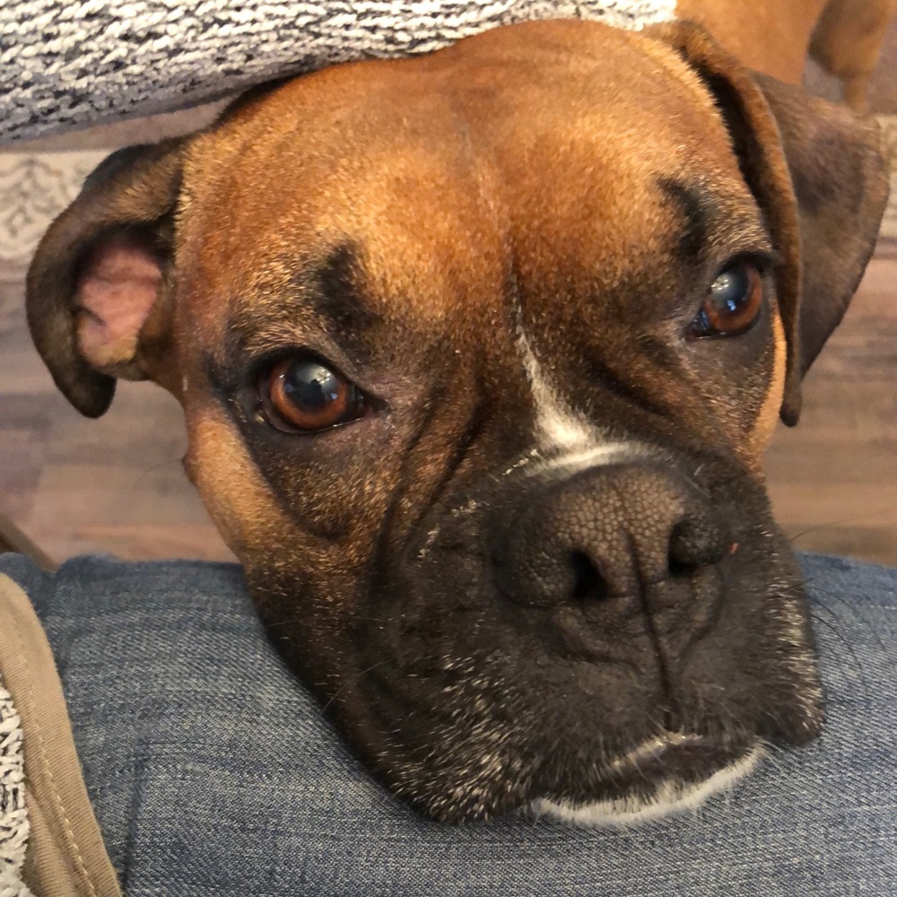 Meet your Posher, Rebecca